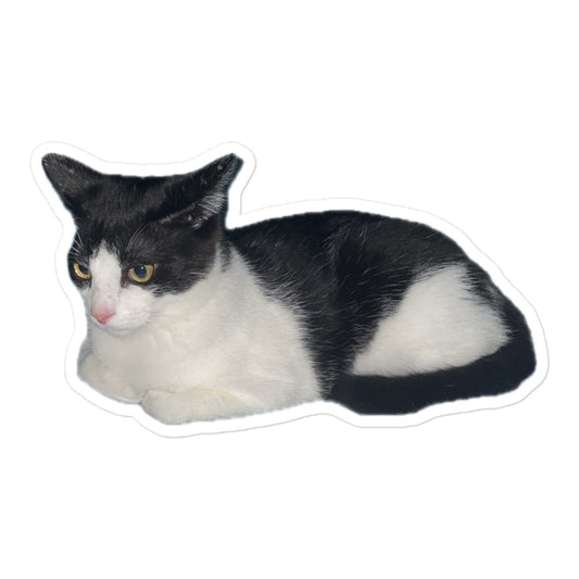 “Floating Cat” Sticker